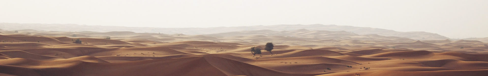 ԾƼ޹˾